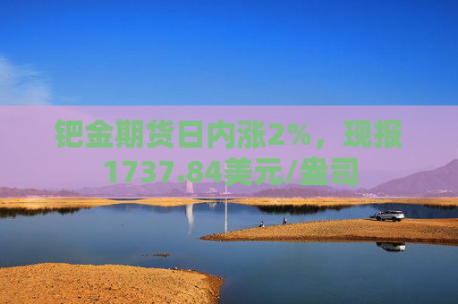钯金期货日内涨2%，现报1737.84美元/盎司