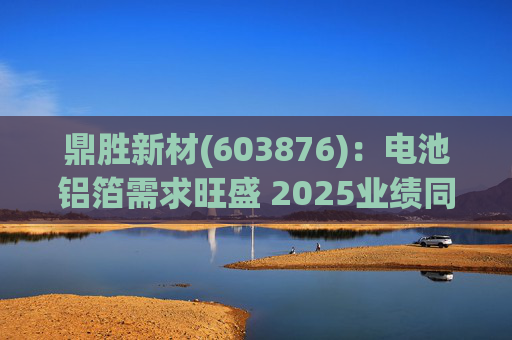 鼎胜新材(603876)：电池铝箔需求旺盛 2025业绩同比高增