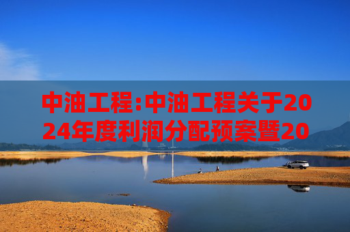 中油工程:中油工程关于2024年度利润分配预案暨2025年中期现金分红有关事项授权的公告  第1张