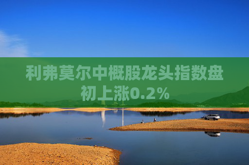 利弗莫尔中概股龙头指数盘初上涨0.2%