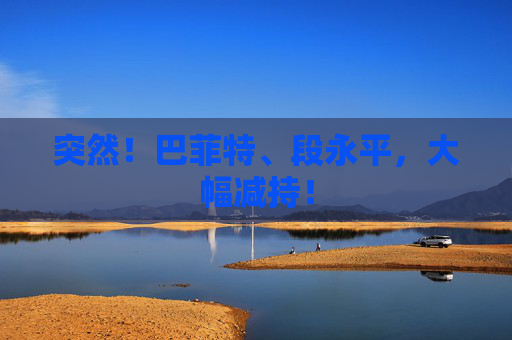 突然！巴菲特、段永平，大幅减持！