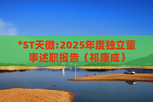 *ST天微:2025年度独立董事述职报告（祁康成）