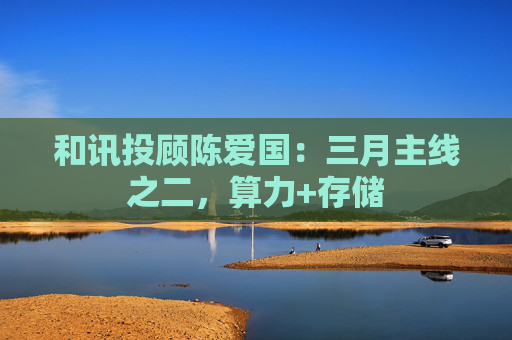 和讯投顾陈爱国：三月主线之二，算力+存储