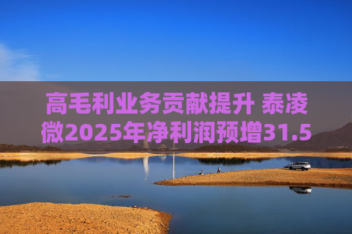 高毛利业务贡献提升 泰凌微2025年净利润预增31.53%