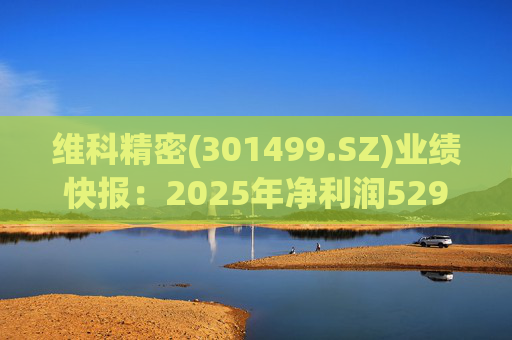 维科精密(301499.SZ)业绩快报：2025年净利润5293.82万元 同比增长16.85%