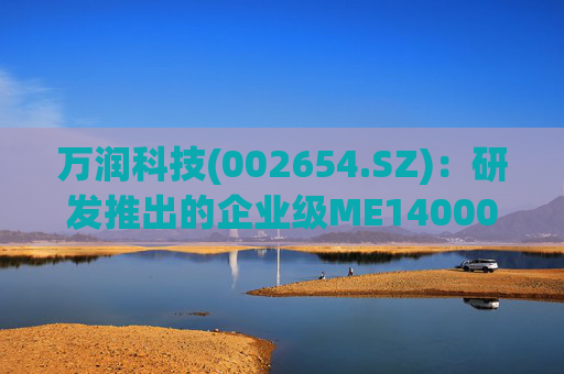 万润科技(002654.SZ)：研发推出的企业级ME14000存储产品，能够满足AI推理应用需求  第1张