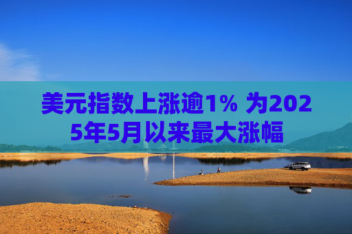美元指数上涨逾1% 为2025年5月以来最大涨幅