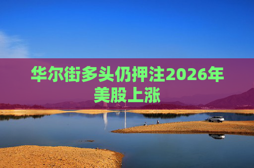华尔街多头仍押注2026年美股上涨