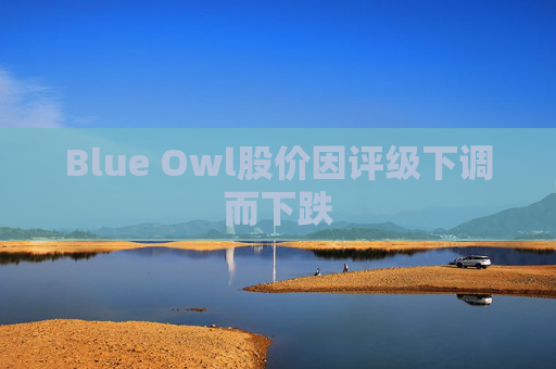 Blue Owl股价因评级下调而下跌