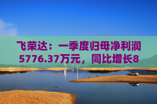 飞荣达：一季度归母净利润5776.37万元，同比增长85.57%