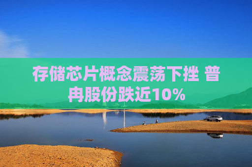 存储芯片概念震荡下挫 普冉股份跌近10%