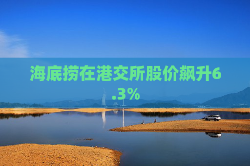 海底捞在港交所股价飙升6.3%