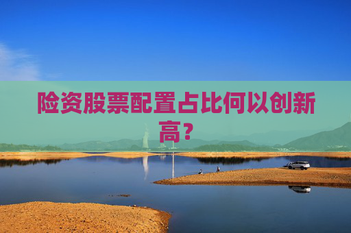 险资股票配置占比何以创新高？