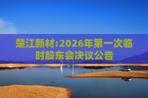 楚江新材:2026年第一次临时股东会决议公告