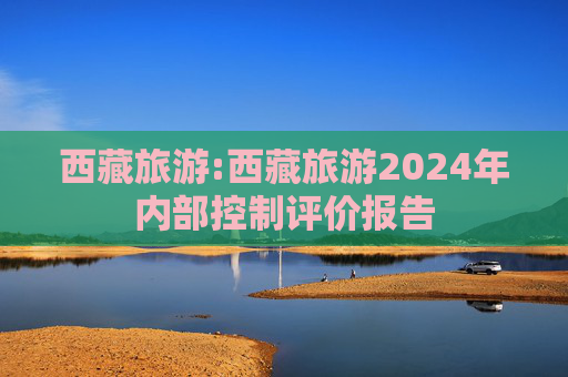 西藏旅游:西藏旅游2024年内部控制评价报告  第1张