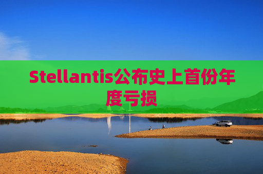Stellantis公布史上首份年度亏损  第1张