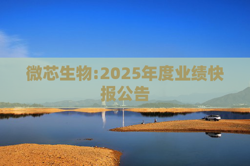 微芯生物:2025年度业绩快报公告