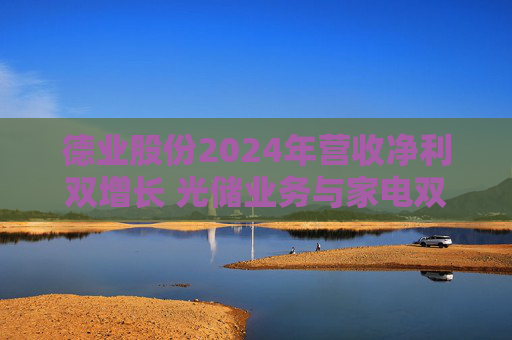 德业股份2024年营收净利双增长 光储业务与家电双轮驱动发力