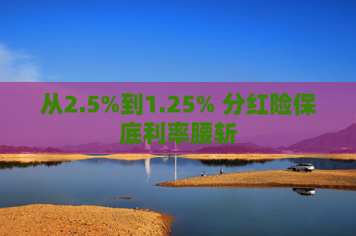 从2.5%到1.25% 分红险保底利率腰斩