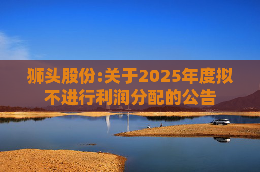 狮头股份:关于2025年度拟不进行利润分配的公告