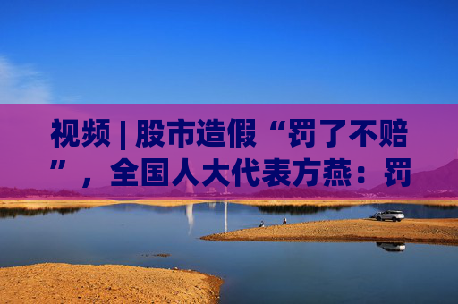 视频 | 股市造假“罚了不赔”，全国人大代表方燕：罚没款应先赔股民