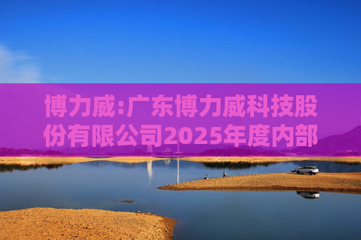 博力威:广东博力威科技股份有限公司2025年度内部控制评价报告