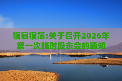 铜冠铜箔:关于召开2026年第一次临时股东会的通知