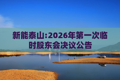 新能泰山:2026年第一次临时股东会决议公告