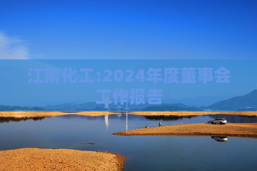江南化工:2024年度董事会工作报告
