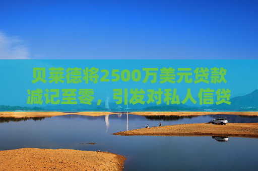 贝莱德将2500万美元贷款减记至零，引发对私人信贷的担忧