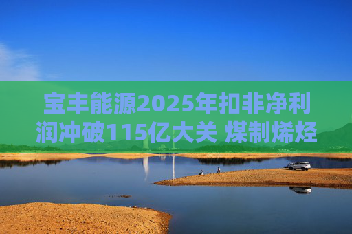宝丰能源2025年扣非净利润冲破115亿大关 煤制烯烃龙头迎高光时刻