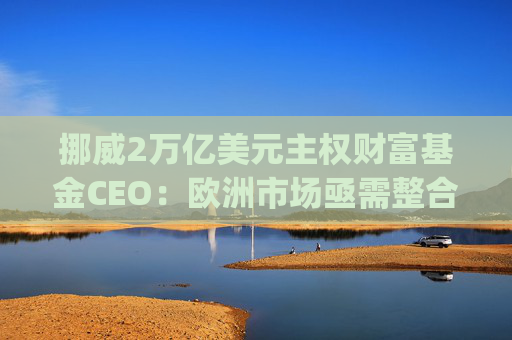 挪威2万亿美元主权财富基金CEO：欧洲市场亟需整合，"赢家通吃"