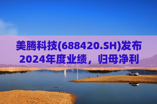 美腾科技(688420.SH)发布2024年度业绩，归母净利润4068万元，同比下降45.21%  第1张