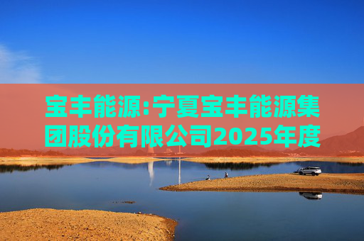 宝丰能源:宁夏宝丰能源集团股份有限公司2025年度独立董事述职报告（孙积禄）
