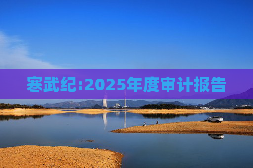 寒武纪:2025年度审计报告