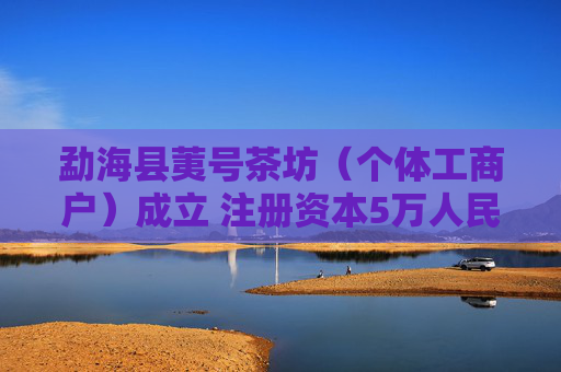 勐海县荑号茶坊（个体工商户）成立 注册资本5万人民币