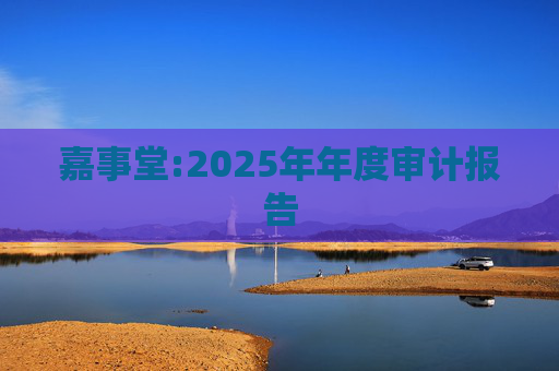 嘉事堂:2025年年度审计报告