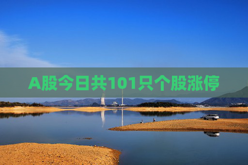 A股今日共101只个股涨停