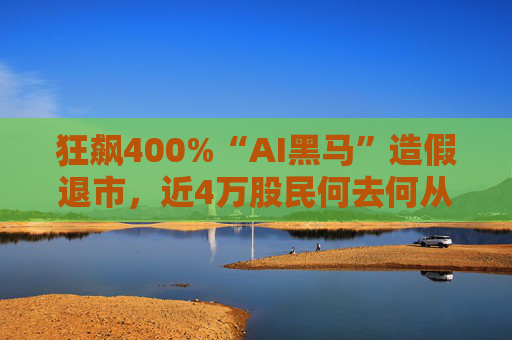 狂飙400%“AI黑马”造假退市，近4万股民何去何从？