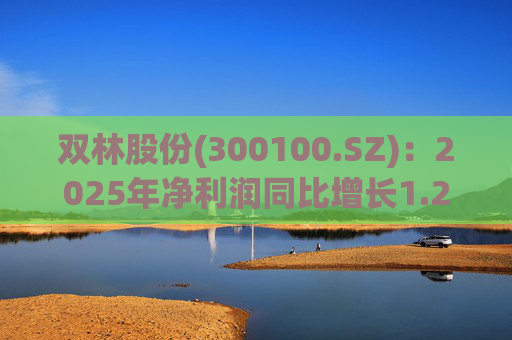 双林股份(300100.SZ)：2025年净利润同比增长1.25% 拟10股派1元