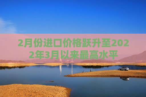 2月份进口价格跃升至2022年3月以来最高水平
