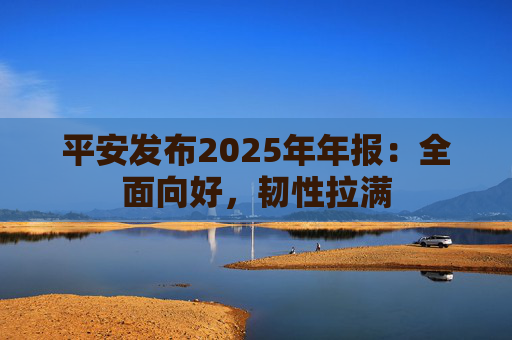 平安发布2025年年报：全面向好，韧性拉满