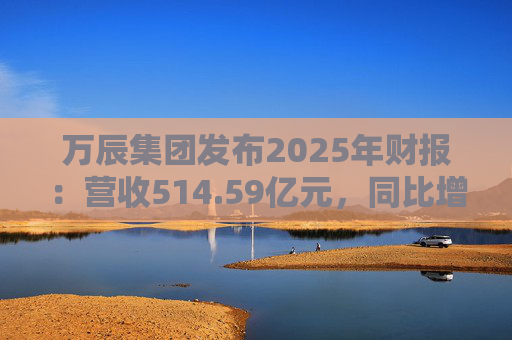 万辰集团发布2025年财报：营收514.59亿元，同比增长59.17%