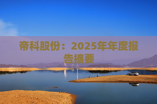 帝科股份：2025年年度报告摘要