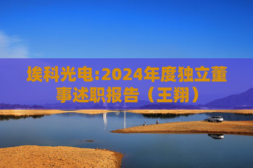 埃科光电:2024年度独立董事述职报告（王翔）  第1张