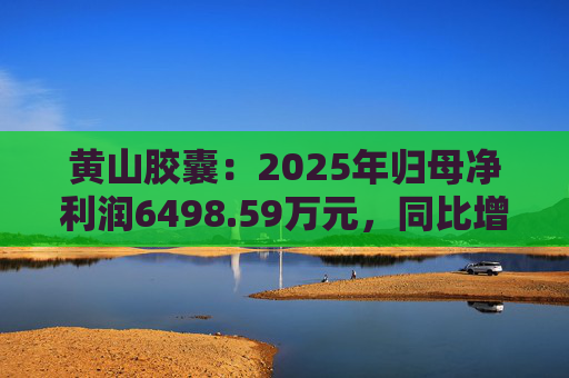 黄山胶囊：2025年归母净利润6498.59万元，同比增长31.94%