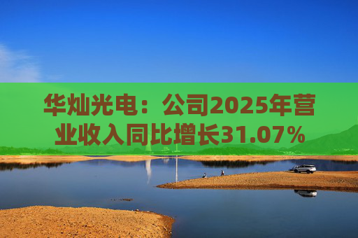 华灿光电：公司2025年营业收入同比增长31.07%