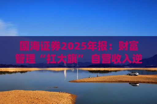 国海证券2025年报：财富管理“扛大旗” 自营收入逆势大降 投行收入占比仅2%