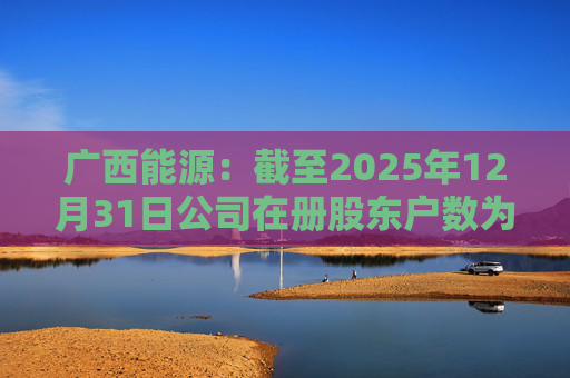 广西能源：截至2025年12月31日公司在册股东户数为53413户