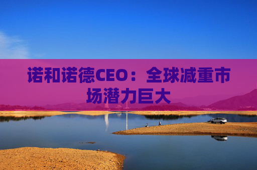 诺和诺德CEO：全球减重市场潜力巨大